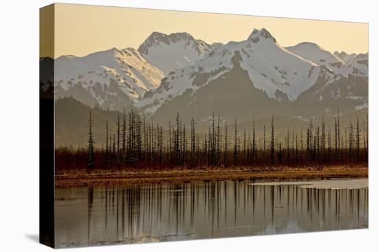 North America, the Usa, Alaska, Chugach Mountains-Bernd Rommelt-Premier Image Canvas