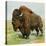 North American Bison on the Great Plains-null-Premier Image Canvas