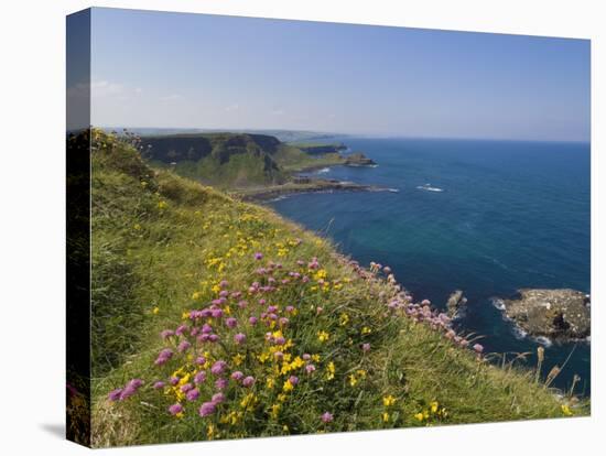 North Antrim Coast Path to the Giant's Causeway, County Antrim, Ulster, Northern Ireland, UK-Neale Clarke-Premier Image Canvas