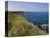 North Antrim Coast Path to the Giant's Causeway, County Antrim, Ulster, Northern Ireland, UK-Neale Clarke-Premier Image Canvas