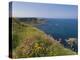 North Antrim Coast Path to the Giant's Causeway, County Antrim, Ulster, Northern Ireland, UK-Neale Clarke-Premier Image Canvas