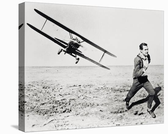 North by Northwest-null-Stretched Canvas