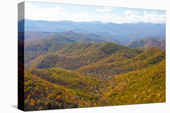 North Carolina, Blue Ridge Parkway-Jamie & Judy Wild-Premier Image Canvas