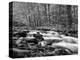 North Carolina, Great Smoky Mountains National Park, Water Flows at Straight Fork Near Cherokee-Ann Collins-Premier Image Canvas