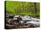 North Carolina, Great Smoky Mountains National Park, Water Flows at Straight Fork Near Cherokee-Ann Collins-Premier Image Canvas