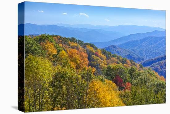 North Carolina, Great Smoky Mountains NP, View from Newfound Gap Road-Jamie & Judy Wild-Premier Image Canvas