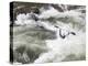 North Carolina. White-Water Kayaking, Nantahala River, North Carolina-Don Paulson-Premier Image Canvas