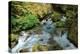 North Cascades NP I-George Johnson-Premier Image Canvas