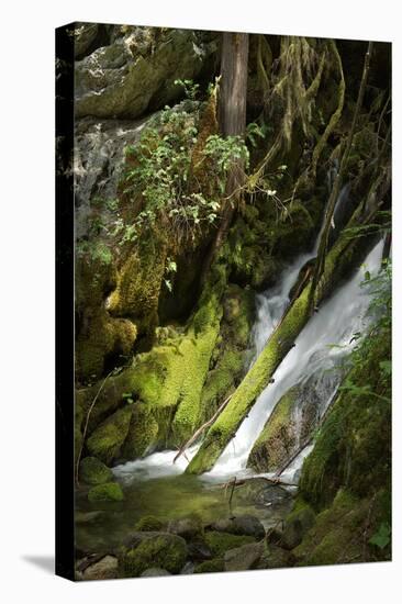 North Cascades NP IV-George Johnson-Premier Image Canvas