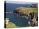 North Coast at Tintagel, Cornwall, England, United Kingdom, Europe-Rolf Richardson-Premier Image Canvas
