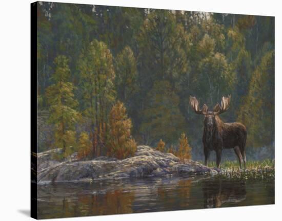 North Country Moose-Bruce Miller-Stretched Canvas