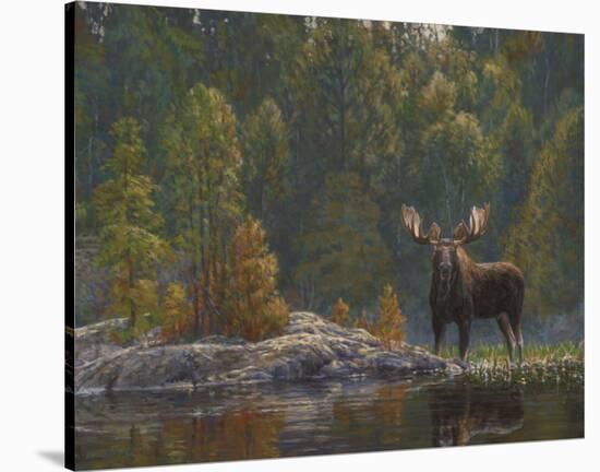 North Country Moose-Bruce Miller-Stretched Canvas