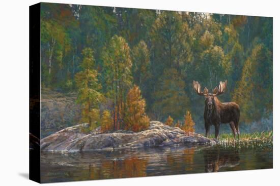 North Country Moose-Bruce Miller-Premier Image Canvas
