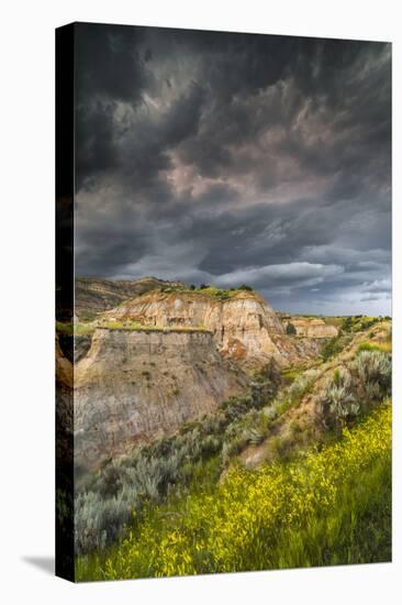 North Dakota, Theodore Roosevelt National Park, Thunderstorm Approach on the Dakota Prairie-Judith Zimmerman-Premier Image Canvas