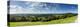North Downs from Newlands Corner, Nr; Guildford, Surrey, England-Jon Arnold-Premier Image Canvas