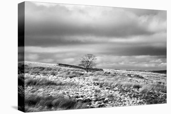 North England Landscape-Mark Sunderland-Premier Image Canvas