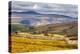 North England Landscape-Mark Sunderland-Premier Image Canvas