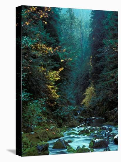North Fork of Santiam River, Central Oregon Cascades, USA-Janis Miglavs-Premier Image Canvas