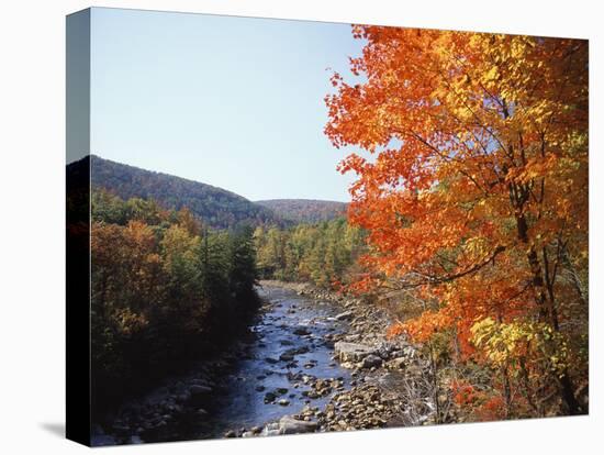 North Fork of the Potomac River, Potomac State Forest, Maryland, USA-Adam Jones-Premier Image Canvas