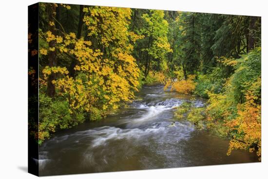 North Fork Silver Creek, Silver Falls State Park, Oregon, USA-Jamie & Judy Wild-Premier Image Canvas