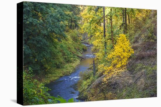 North Fork Silver Creek, Silver Falls State Park, Oregon, USA-Jamie & Judy Wild-Premier Image Canvas