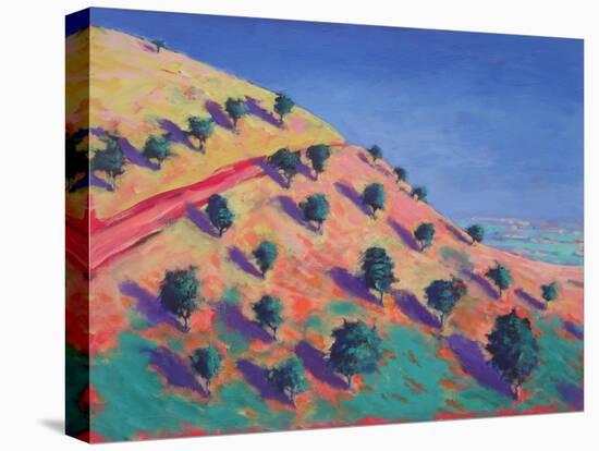 North Hill, Malvern-Paul Powis-Premier Image Canvas