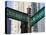 North Michigan Avenue and Chicago Avenue Signpost, the Magnificent Mile, Chicago, Illinois, USA-Amanda Hall-Premier Image Canvas