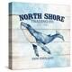 North Shore-Kimberly Allen-Stretched Canvas