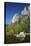 North West Face of Half Dome, and Mirror Lake, Yosemite NP, California-David Wall-Premier Image Canvas