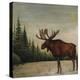 North Woods Moose II-David Cater Brown-Stretched Canvas