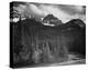 Northeast Portion, Yellowstone National Park, Wyoming, ca. 1941-1942-Ansel Adams-Stretched Canvas