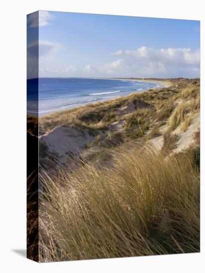 Northern Beach, Chatham Islands Islands-Julia Thorne-Premier Image Canvas