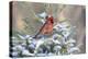 Northern cardinal male in spruce tree in winter snow, Marion County, Illinois.-Richard & Susan Day-Premier Image Canvas