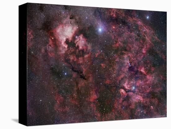 Northern Cygnus-Stocktrek Images-Premier Image Canvas