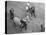 Northern Dancer after Winning the Kentucky Derby-null-Premier Image Canvas