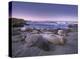 Northern Elephant Seal juveniles laying on the beach, Point Piedras Blancas, Big Sur, California-Tim Fitzharris-Stretched Canvas