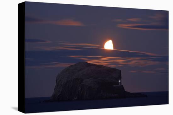 Northern Gannet (Morus Bassanus) Colony, Bass Rock with the Moon Rising, Firth of Forth, Scotland-Green-Premier Image Canvas