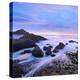 Northern Ireland, County antrim, Giants causeway at dusk-Shaun Egan-Premier Image Canvas