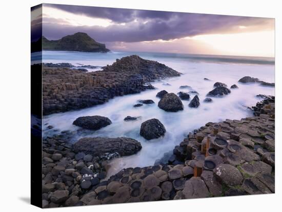 Northern Ireland, County antrim, Giants causeway-Shaun Egan-Premier Image Canvas