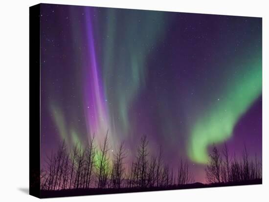 Northern Lights Alaska-KRAlaska-Premier Image Canvas