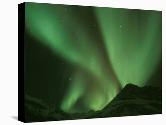 Northern Lights, Arctic National Wildlife Refuge, Alaska USA-Steve Kazlowski-Premier Image Canvas