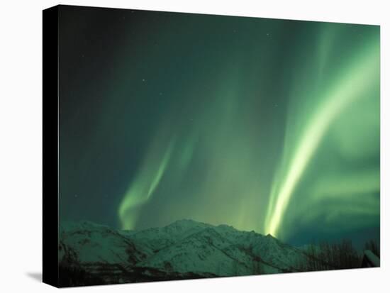Northern Lights, Arctic National Wildlife Refuge, Alaska, USA-Steve Kazlowski-Premier Image Canvas