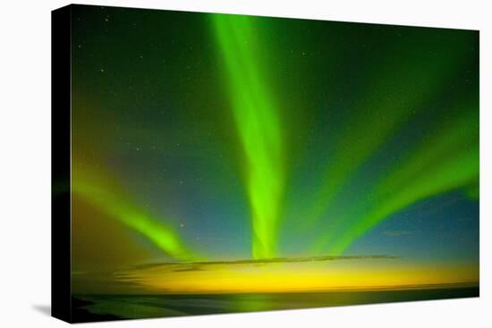 Northern Lights, Beaufort Sea, ANWR, Alaska, USA-Steve Kazlowski-Premier Image Canvas