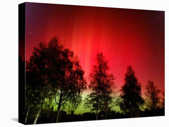 Northern Lights Glow-null-Premier Image Canvas