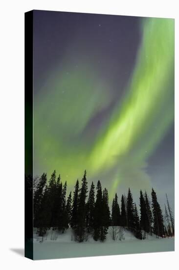 Northern Lights in Winter, Aurora Borealis, PyhŠ-Luosto National Park, Luosto, Lapland, Finland-P. Kaczynski-Premier Image Canvas