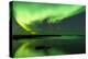 Northern Lights Near Eggum, Aurora Borealis, Eggum, Lofoten, Norway-Sonja Jordan-Premier Image Canvas