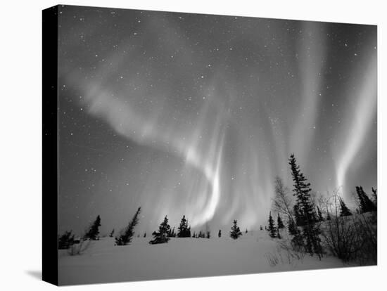 Northern Lights Northwest Territories, March 2008, Canada-Eric Baccega-Premier Image Canvas