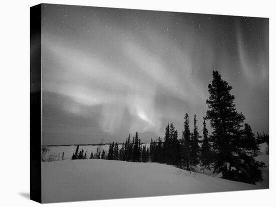 Northern Lights Northwest Territories, March 2008, Canada-Eric Baccega-Premier Image Canvas