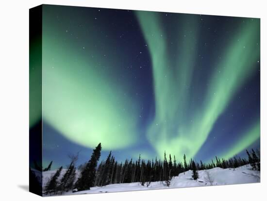 Northern Lights Northwest Territories, March 2008, Canada-Eric Baccega-Premier Image Canvas