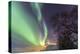 Northern Lights on the Icy Landscape of Svensby, Lyngen Alps, Troms, Lapland, Norway, Scandinavia-Roberto Moiola-Premier Image Canvas